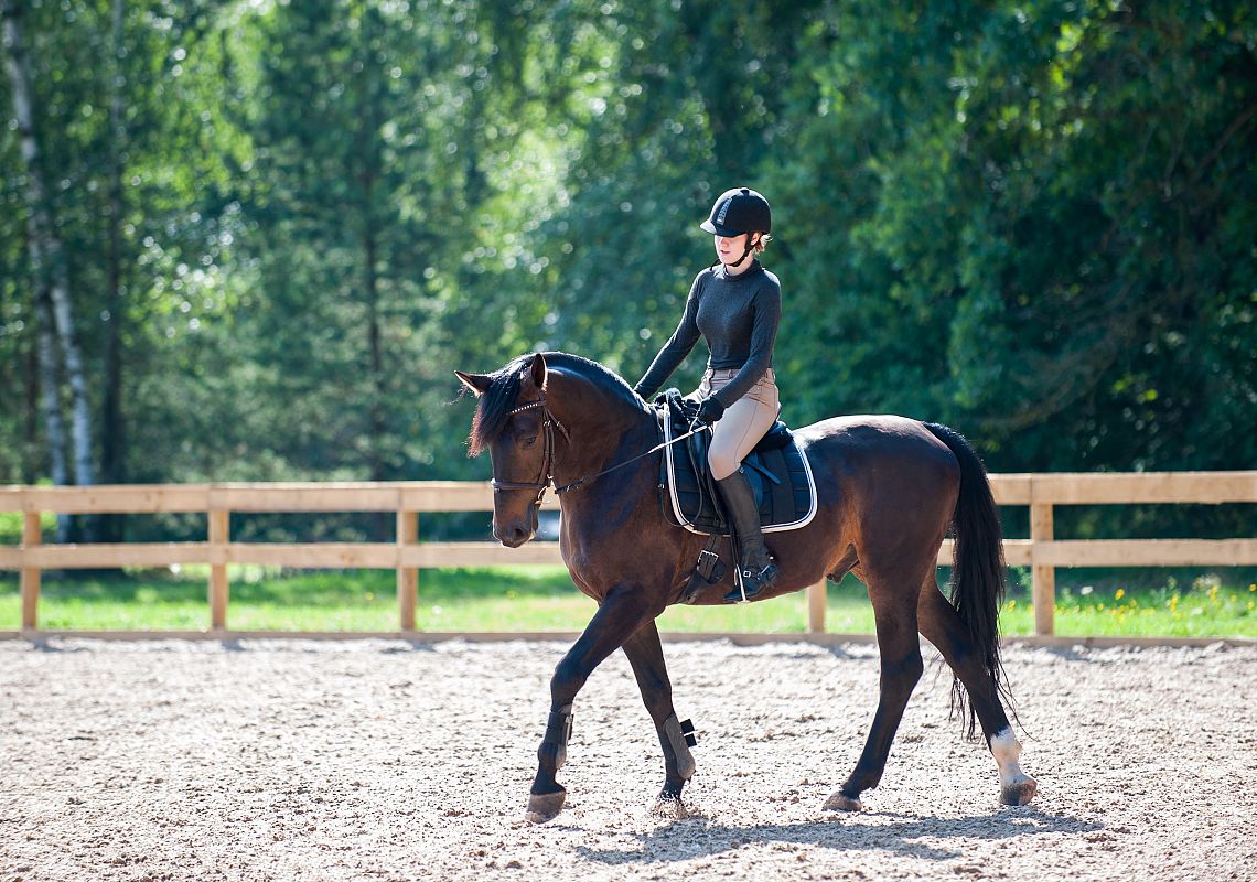 Stadnina Koni w Ciekocinku